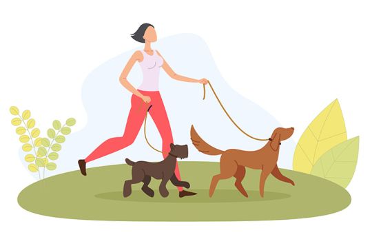 Animal Angels Sitter walking dogs